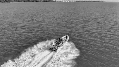 Australia - Main Beach - Road Trip East Coast Australia: Explore City Life, Beaches Wild Animals 🌊✨