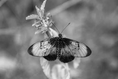 Belgium - Maboge - Explore Belgian Ardennes: Hike, Survive, and Reflect in Maboge - 1