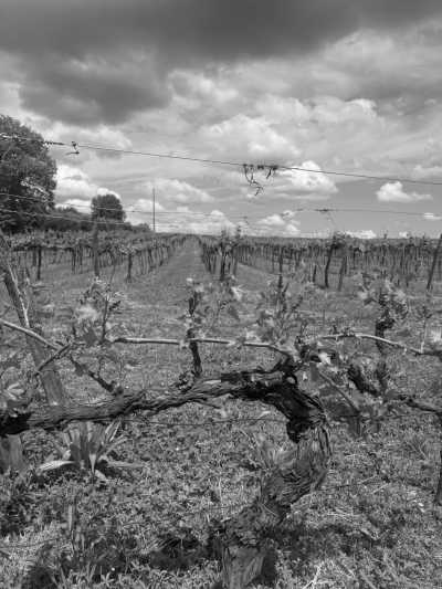 Italien - Pitigliano - Experience the magic of Central Italy this August with our exclusive 4-day trip! - 4