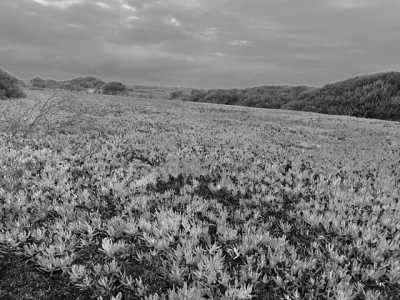 Portugal - Aljezur - Fishermen's Trail - Küstenweitwanderung