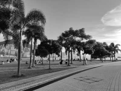 Eastern Asia - West Kowloon - Travel with Local in Hong Kong to Explore Nature and the City - 2