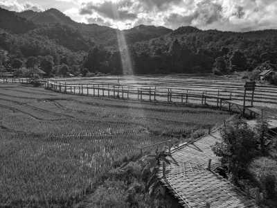 Thailand - Pai Walking Street - 🇹🇭 Nordthailand entdecken - inkl. 3 Tage im Buddhistischen Kloster, Megacity Bangkok & das alte Königreich Sukhothai 🍻🏯🌿🐘 - 1