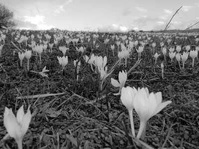 Armenia - Goris - Unveiling the Rich History of Armenia: 8-Day Exploration - 5