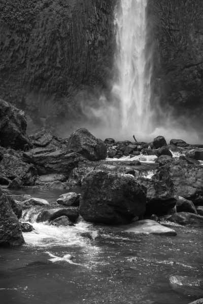 Costa Rica - Guapiles - Caribbean Coast Exploration in Costa Rica with a Local Guide: Discover the Hidden Gems! - 1