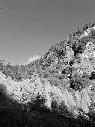 Nepal - Namrung - Manaslu Wilderness Trek – Explore the Remote Himalayas in 15 Days - 3