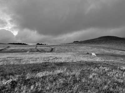 Romania - Comăna de Sus - Romania On Horseback - Horses and Unforgettable Memories - 3