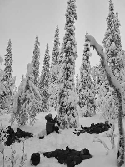 Sweden - Lannavaara - Wild North Expedition Above The Arctic Circle - Snowmobiling, Northern Lights & Dog Sledding - 2