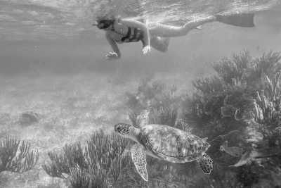 Mexiko - Chichén-Itzá - THE MAYAN TRAIL WESTBOUND - 1