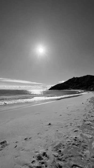 Subsahara-Afrika - Tofo - Echoes of the Wild: A Journey from Kruger's Big Five to Mozambique's Whale Wonders - 3