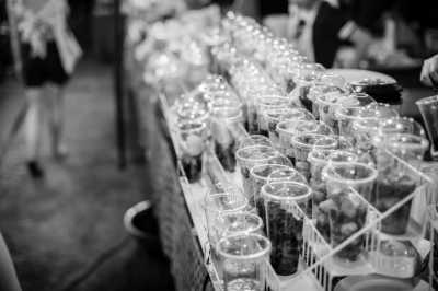 Thailand - Chiang Mai - Your Vegan Thailand Adventure - Tofu, Tuk Tuks & Temples 🍃 - 6