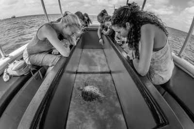 Ägypten - Glass Boat, Hurgada - New Year in Egypt with a Local at the beach in Hurghada 🏖 𓅓𓏲𓅓𓅓𓏭𓋴,   𓉔𓏲𓂋𓎼𓉔𓄿𓂧𓄿 🇪🇬.