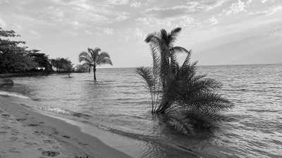 Burundi - Bujumbura - Uncover the Treasures of Africa: Embark on an 3 weeks Adventure Exploring Burundi and Rwanda - 4