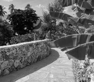 Tanzania - Kiwengwa - Get to know the best of Zanzibar 🏝️ - 17