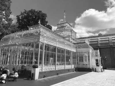 United Kingdom - Horniman Museum and Gardens - Museums, Art and Cocktails: Mbang's Trip to London  🇬🇧 🍸 - 2