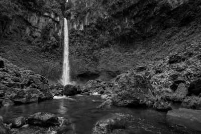 Costa Rica - Guapiles - Caribbean Coast Exploration in Costa Rica with a Local Guide: Discover the Hidden Gems! - 5