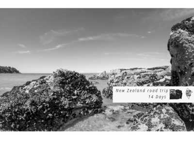 New Zealand - Kaiteriteri Beach - 🇳🇿🗺 Entdecke die Geheimnisse Neuseelands 🗺🇳🇿 - 3