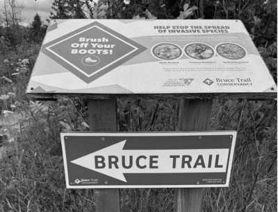 Canada - Isthmus Bay - 🌲 Hiking Escape to the BRUCE PENINSULA: Explore Georgian Bay & the Bruce Trail in Ontario - 5