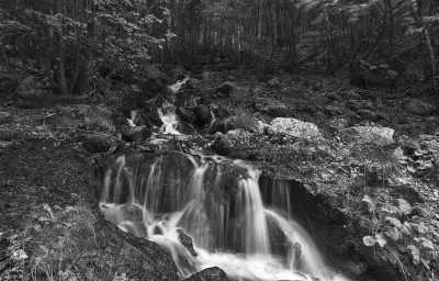 Mazedonien - Ohrid - One week vacation in Ohrid with a local: sunbathing, swimming, enjoy delicious traditional food, try paragliding, explore nature springs and much more - 9
