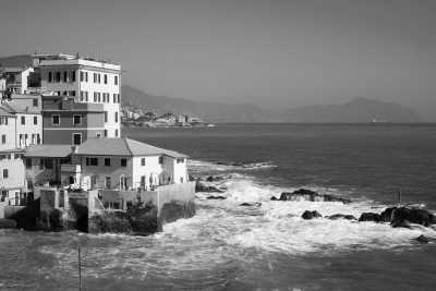 Italy - Boccadasse - Work remotely in the colorful Genoa 🏡 🌈 and discover the land of Luca - 5 Terre! 🏞️🇮🇹 - 1