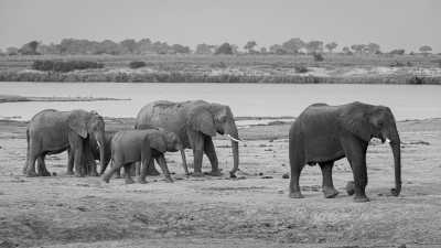 Southern Africa - Kang - Botswana Explorer - Entdecke Botswana's Natur und Tierwelt im 4x4