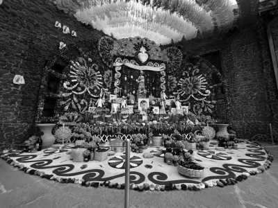 Mexiko - Frida Kahlo Museum - Spend a Week Like a Local in Mexico City - 1