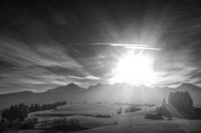 Western Europe - Germany - Road Trip to Switzerland & Austria with my two huskies (from Amsterdam) - 3