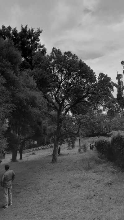 India - Kodaikanal - Ancient South India: Experience the Exotic Ancient Temples and Enticing Hills of Tamilnadu - 21