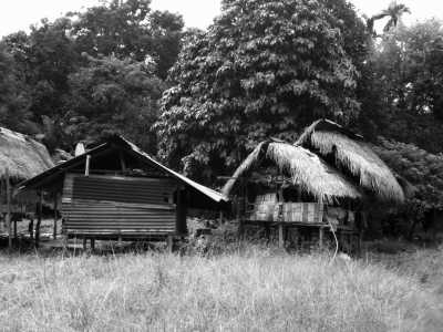 Malaysia - Perak - Celebrate the Authentic Soul of Malaysia: Dive into the Heart of Kampung Style Living! 🌿🏡 - 2