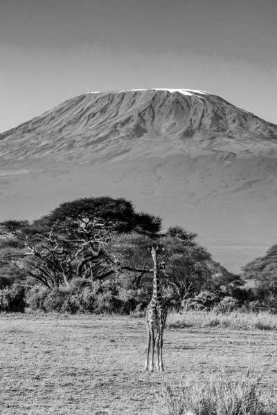 Tanzania - Materuni Waterfall - Pocket friendly Tanzanian Safari with a local