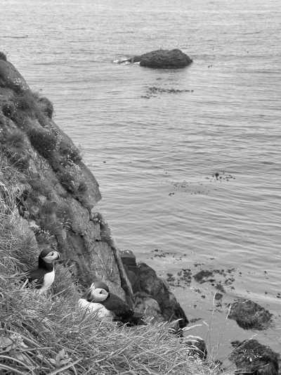 Iceland - Askja - Iceland Summer Adventure: Explore the Highlands 2.0 with Breathtaking Landscapes - 1