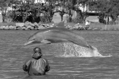 Brazil - Laguna - Unforgettable Trip to Brazil: Trekking, Surfing, Yoga, Whale Watching, and More - 9