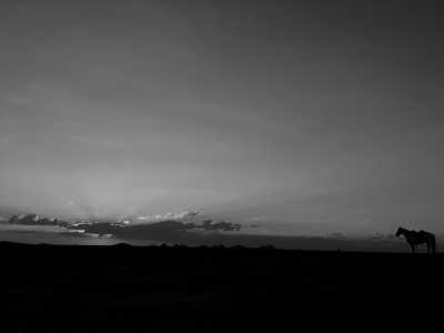 Namibia - Omaruru - Discovery Horseback Ride in Namibia: Ride from Inland to the Atlantic Coast - 5