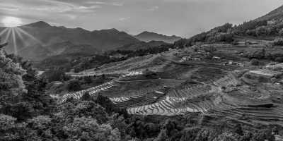 Indonesia - Jatiluwih Rice Terraces - Discover New Horizons on a Bali Summer Escape: Unveiling the Beauty of Indonesia - 1