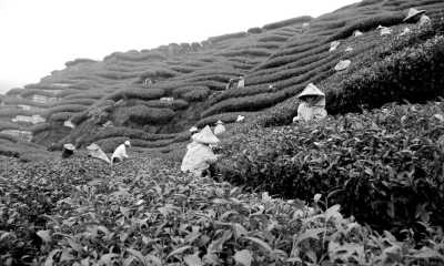 Bangladesch - Sreemangal - Essence of Bangladesh: Exploring Sylhet’s Beauty - 2