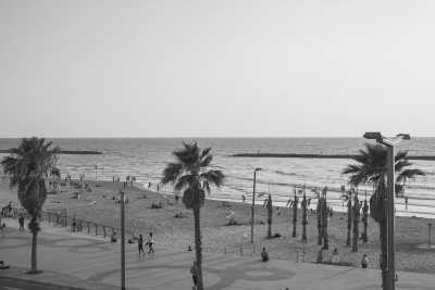 Israel - Tel Aviv-Yafo - A Taste of Israel - Explore with a Local - 5