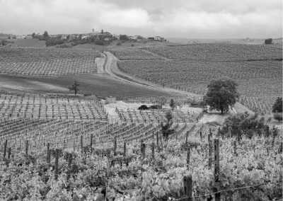 Italien - Acqui Terme - Monferrato Wine Weekend: Explore Italy's Enchanting Vineyards