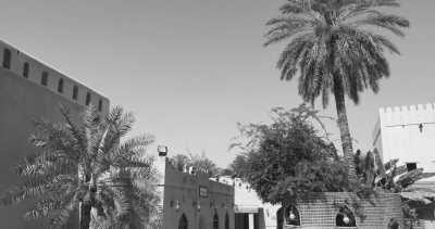 Oman - Nizwa - Discover Oman: The Land of Wadis and Wonders - 1