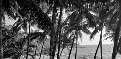 India - Palolem Beach - Unveiling Mystical Goa: Beaches, Parties, and Cultural Delights - Experience Goa like a Local - 1