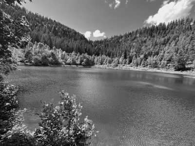 Deutschland - Camp Bösellbach - Travel Through the Black Forest, Germany - 2