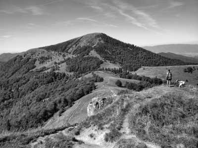 Slowakei - Chata pod Borišovom - Wilderness and Tranquility: Hiking Adventure in Great Fatra National Park in Slovakia - 5
