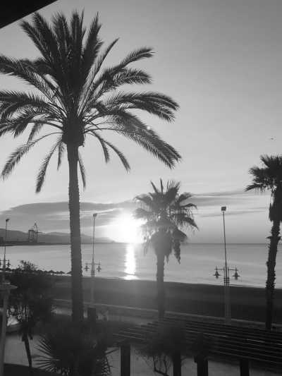 Spain - Málaga - CoWorking with locals in the beautiful and sunny Malaga, Spain 🌞 - 2