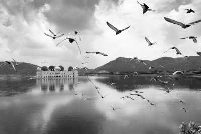 India - Jaipur - Experience Authentic Cultural and Food Around India