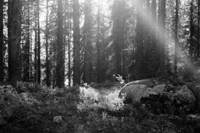 Schweden - Storberg Fjällgård AB - Discover the wilderness of Swedish Lapland - 1