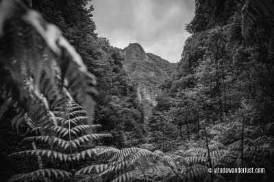 Portugal - Levada do Caldeirão Verde - Madeira 360° 🇵🇹 Roadtrip in the European’s Hawaii staying in an ocean villa and swim with the dolphins in Portugal 🐬 - 1