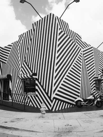 United States - Wynwood Walls - Travel Like a Local to Florida, Miami, the Atlantic Coast, & Orlando (Disney World) - 2