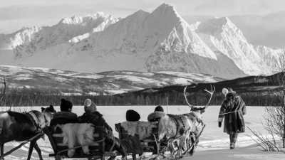 Norway - Tromsø - Artic Aurora 🌈 and Reindeer Glides 🦌 in Norway: Tromsø's Autumn Wonderland 🍂 - 7