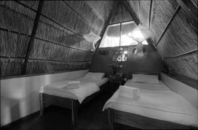 Eastern Africa - Livingstone - Lets Tour Africa! 3 Countries in 8 days Zambia, Botswana and Zimbabwe ✈️🌞 Jobs fill your pocket, adventures fill your soul 😊❤️ - 6