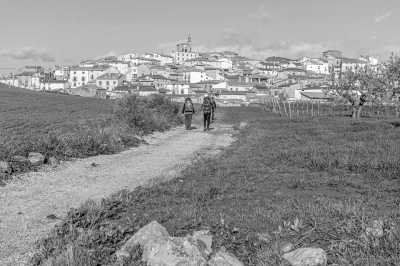 Spanien - Palas de Rei - Jakobsweg – 110 Kilometer: Pilgern, Natur und Selbstfindung