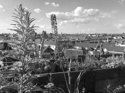 Germany - Kreuzberg - Feel Like a Real Berliner in Just 4 Days: The Best Local Hotspots, Nightlife, Culture and Food - 2