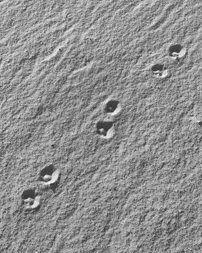 Egypt - White Desert - Cairo, Egypt trip: pyramids, museums, Black & White Desert - 2